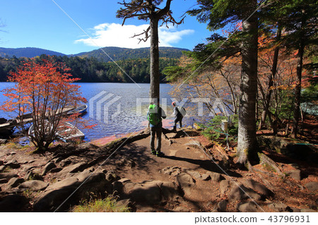 Fall and boats of Shirakomaike in Nagano Prefecture (near Aoiiso) Fall and boats of Shirakomaike in Nagano Prefecture (near Aoiiso) 43796931