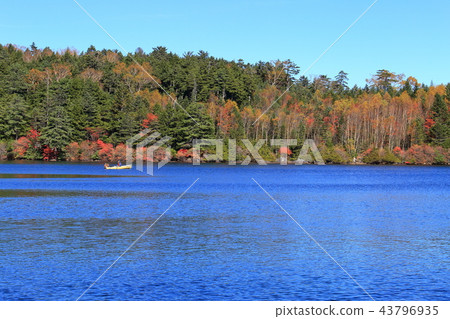 Autumn Shirakomaike and boat in Nagano Prefecture (viewing the pond from the south side) 43796935