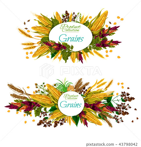 Grains food. Cereal, vegetable and seeds 43798042