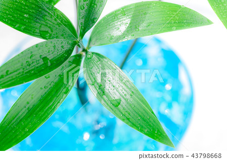 窗邊的植物 43798668