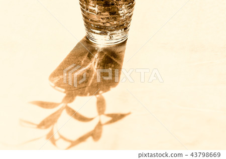Houseplants (Sepia-like) by the windows 43798669