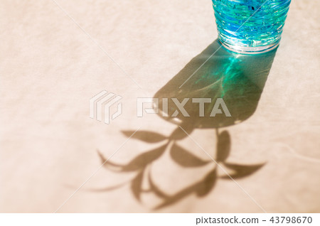 窗邊的植物 43798670