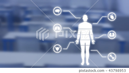 Human Body Chart and classroom Human Body Chart and classroom 43798953
