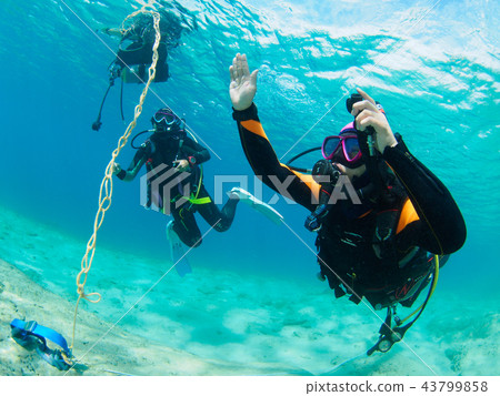 Diving course 43799858