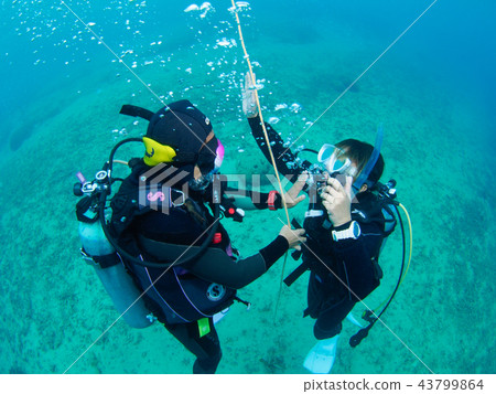 Diving course Diving course 43799864
