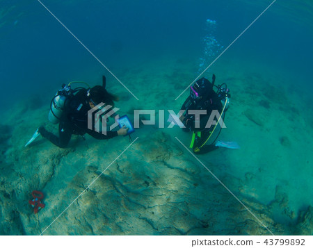 Diving course 43799892