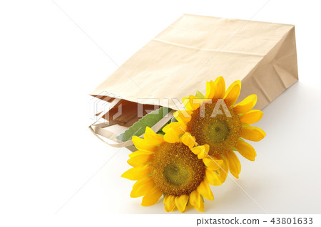 Paper bag and sunflower Paper bag and sunflower 43801633