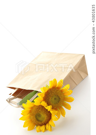 Paper bag and sunflower Paper bag and sunflower 43801635