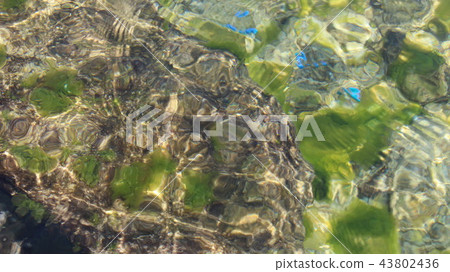 Water sea beautiful Water sea beautiful 43802436