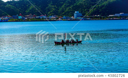 The Champion The Champion 43802726