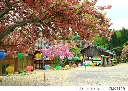 寺廟,寺廟,宗教,佛教,信仰,考慮,佛教形象,Sansa,太陽 寺廟,寺廟,宗教,佛教,信仰,考慮,佛教形象,Sansa,太陽 43803129