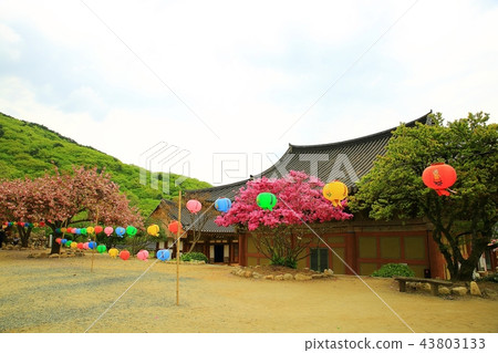 Temple, temple, religion, Buddhism, faith, consideration, Buddhist image, Sansa, Sun-am Temple, temple, religion, Buddhism, faith, consideration, Buddhist image, Sansa, Sun-am 43803133