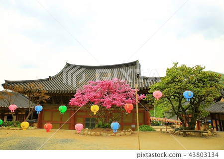 Temple, temple, religion, Buddhism, faith, consideration, Buddhist image, Sansa, Sun-am Temple, temple, religion, Buddhism, faith, consideration, Buddhist image, Sansa, Sun-am 43803134