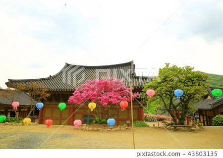 Temple, temple, religion, Buddhism, faith, consideration, Buddhist image, Sansa, Sun-am Temple, temple, religion, Buddhism, faith, consideration, Buddhist image, Sansa, Sun-am 43803135