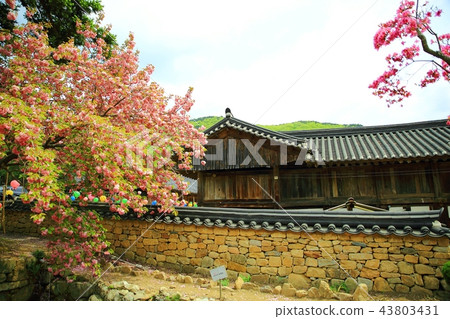 Temple, temple, religion, Buddhism, faith, consideration, Buddhist image, Sansa, Sun-am 43803431