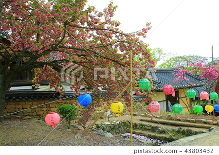 Temple, temple, religion, Buddhism, faith, consideration, Buddhist image, Sansa, Sun-am Temple, temple, religion, Buddhism, faith, consideration, Buddhist image, Sansa, Sun-am 43803432