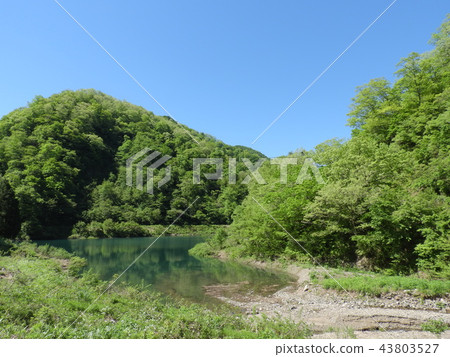 Kamigake dam and fresh green (May 2017, Gifu prefecture, Kamogawa town) Kamigake dam and fresh green (May 2017, Gifu prefecture, Kamogawa town) 43803527