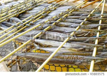 Autumn saury fish is also useful as a food ingredient, and in Japan, the popular fish saury that represents the taste of autumn. 43803575