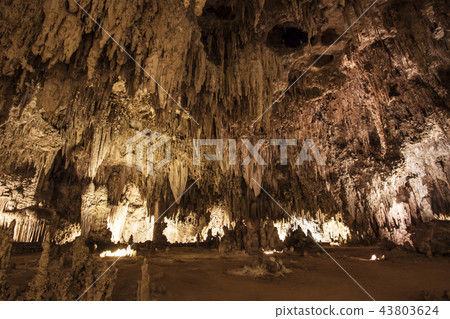 Carlsbad Caverns National Park Carlsbad Caverns National Park 43803624