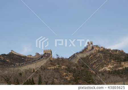 Great Wall Great Wall 43803625