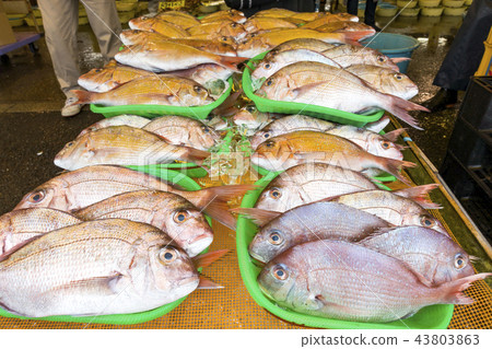 在美食家中，歡迎嘴唇的肉和乳房的顴骨以及胸鰭的底部 43803863