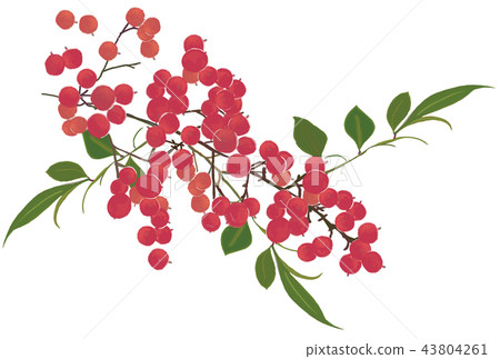 New Year South Heaven New Year Postcard Material 43804261