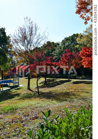 Shiawase村莊在秋天 Shiawase村莊在秋天 43804392