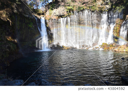 我去了Fujinomiya 11的Shiraito瀑布 43804592