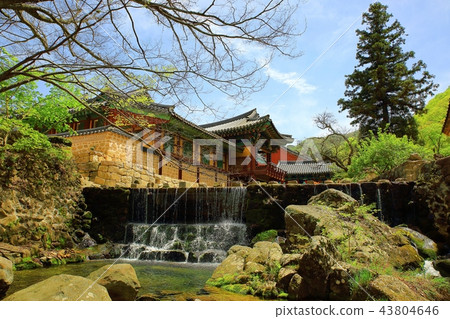 Temple, temple, religion, Buddhism, faith, reflection, Buddhist image, mountain temple, Songgwangsa Temple, temple, religion, Buddhism, faith, reflection, Buddhist image, mountain temple, Songgwangsa 43804646