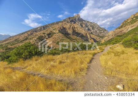 Crossing trails in Provo Canyon Crossing trails in Provo Canyon 43805334