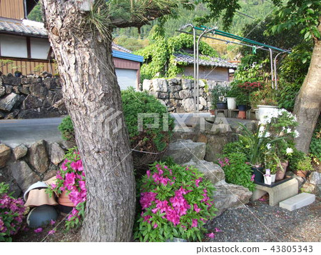 Kashiura滋賀縣湖濱定居點4腳門 43805343