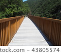 Road nature bridge 43805574