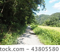 Road grass road hiking walk nature blue sky 43805580