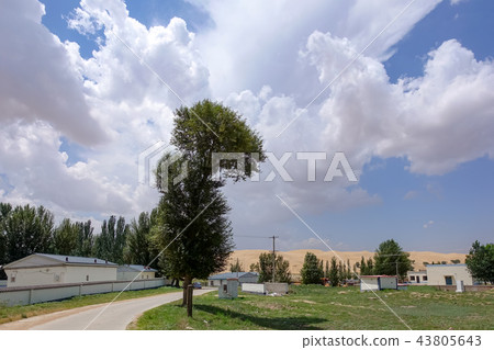 內蒙風景 43805643