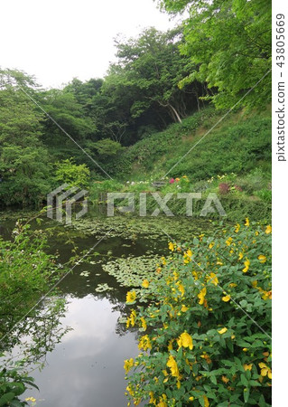 六甲音樂盒博物館 43805669