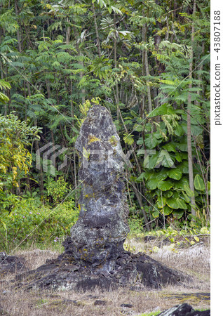 lava, forest, monument 43807188