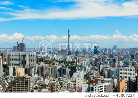 東京天空樹和大廈藍天 東京天空樹和大廈藍天 43807227