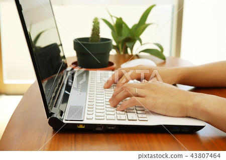 女人和室內植物在筆記本電腦上打字 女人和室內植物在筆記本電腦上打字 43807464