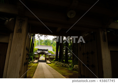 Megumi Yamanaka Gate of Tateyama Temple Megumi Yamanaka Gate of Tateyama Temple 43807745