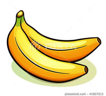 Vector two yellow bananas design Vector two yellow bananas design 43807813
