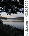 Lakeshore 43808099