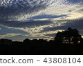 sunset 43808104