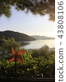 lake side 43808106