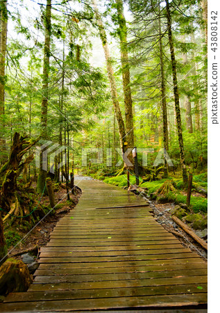 Boardwalk Boardwalk 43808142