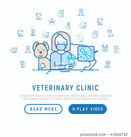 Veterinary clinic concept: dog with broken leg Veterinary clinic concept: dog with broken leg 43808782