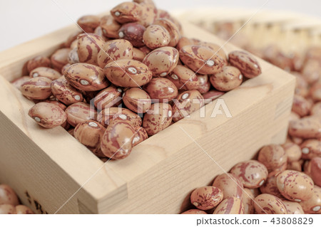 Beans quail beans dried beans Beans quail beans dried beans 43808829
