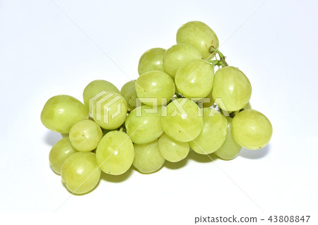 葡萄（羅薩里奧比安科） 43808847