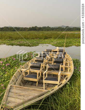tourist boat with chairs in the jungle river tourist boat with chairs in the jungle river 43808884