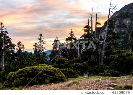 雪山翠池 43809079