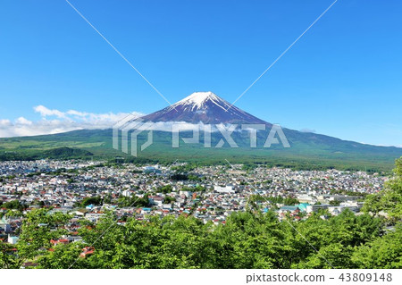 可能晴朗的藍天新鮮的綠色風景和富士山 43809148